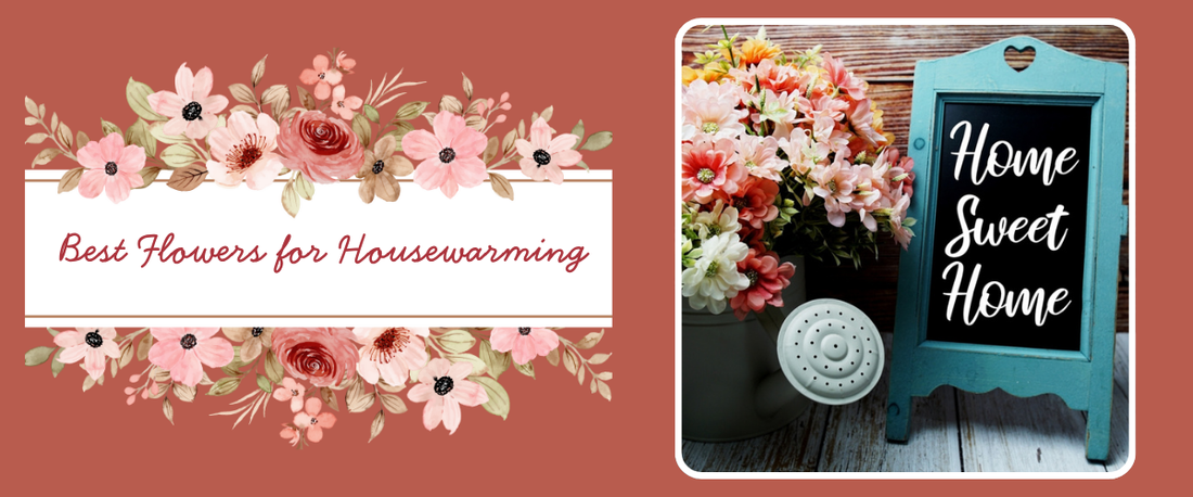 5 Best Flowers for Housewarming