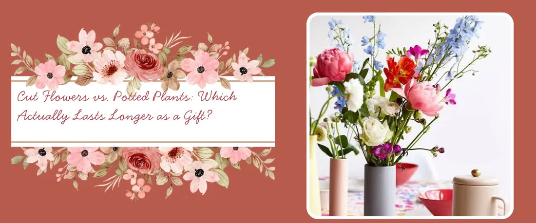 Cut Flowers vs. Potted Plants: Which Actually Lasts Longer as a Gift?