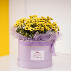 Lemon Drop Bliss & Red Velvet Sparkle Cake