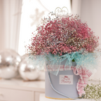 Blush and Breeze & Red Velvet Sparkle Cake