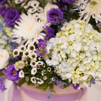 buy flowers Mumbai