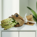 Whispering Rajnigandha