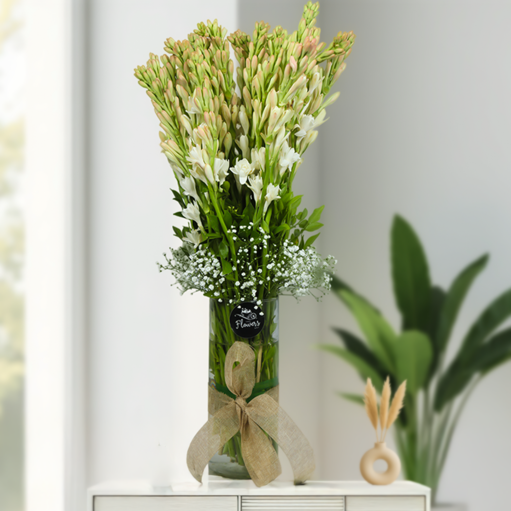 Rajnigandha Serenity