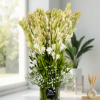 Rajnigandha Serenity