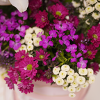 flower delivery Mumbai
