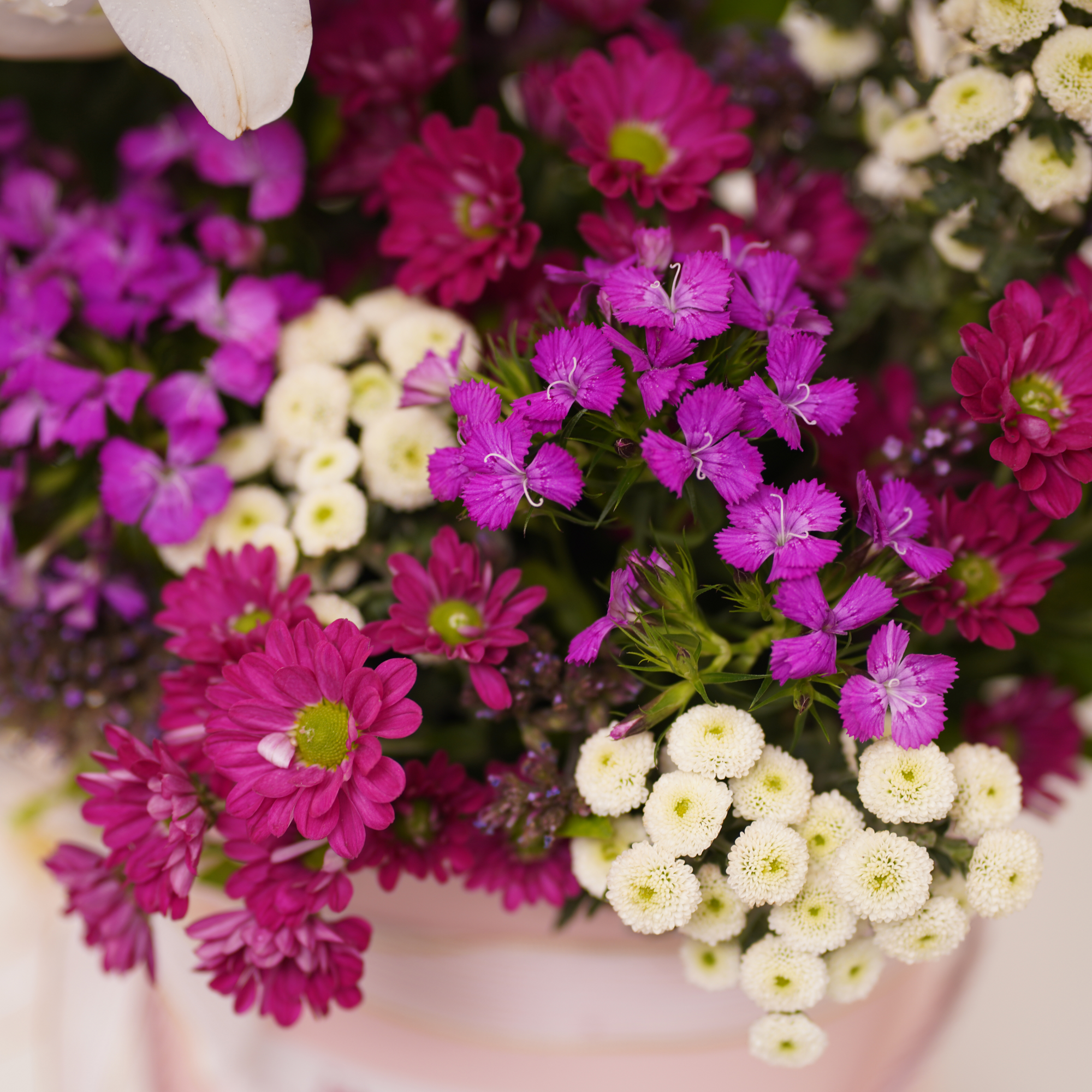 flower delivery Mumbai